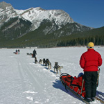 Winter Wonders Dog Sled Winter Wonders Dog Sled